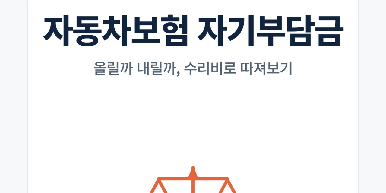 자동차보험 자기부담금